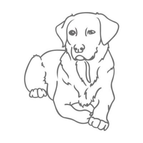 Hond afbeelding Hond afbeelding